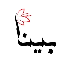 لوگوی رسمی فروشگاه بینا