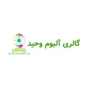 لوگوی رسمی فروشگاه آلبوم وحید