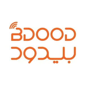 بیدود