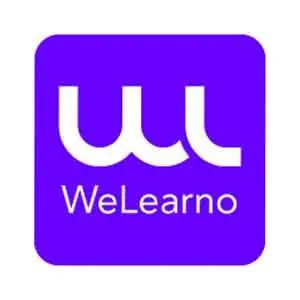 لوگوی رسمی فروشگاه ویلرنو